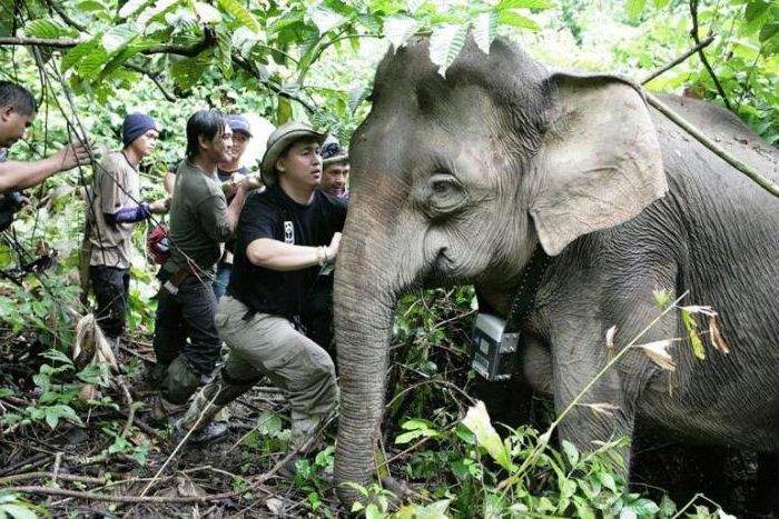 LA SOSTA DEL GIRO DEL MONDO IN 80 GIORNI A BORNEO MALESE