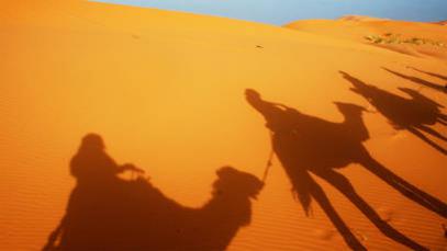 IL GRANDE MARE DI SABBIA: IL DESERTO EGIZIANO