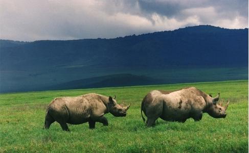 KRUGER, LA RISERVA PRIVATA DI SUDAFRICA