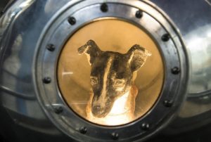 Laika-Sputnik-russia-history-space-animal