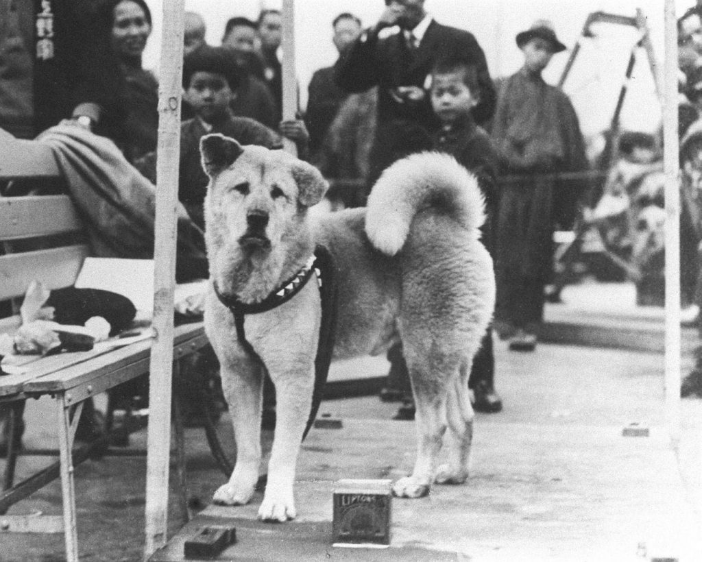 Hachiko