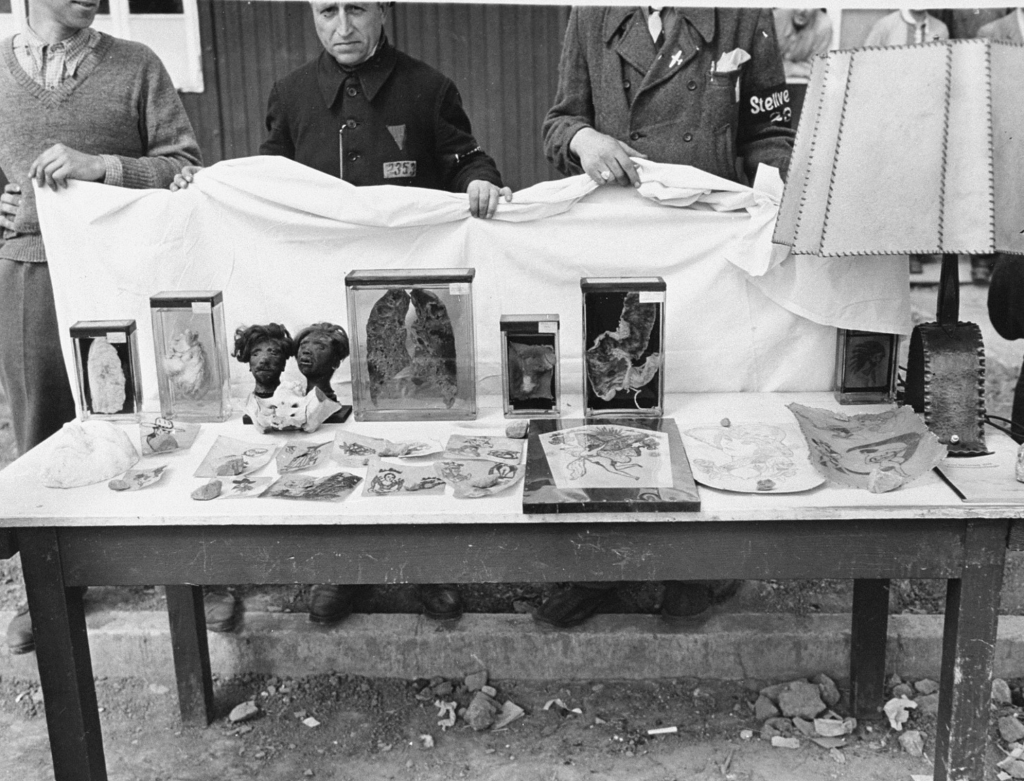 Collezione di Ilse Kock di organi di prigionieri, incluse due teste rimpicciolite e alcuni esemplari di pelle tatuata dei prigionieri ebrei (Buchenwald-16 aprile 1945)